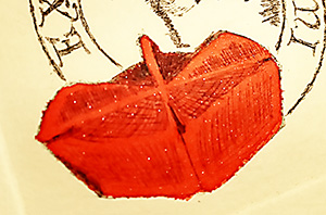 f:id:a_fool_dances:20220123222206j:plain