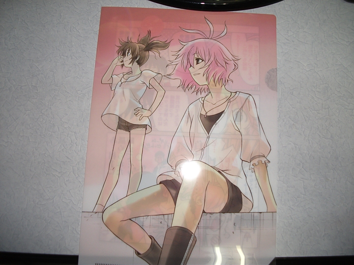 f:id:a_kuma_get:20110322013037j:image