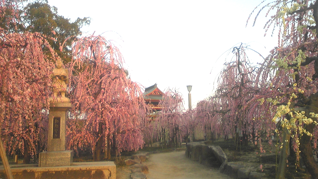 f:id:a_kuma_get:20130309010136j:image