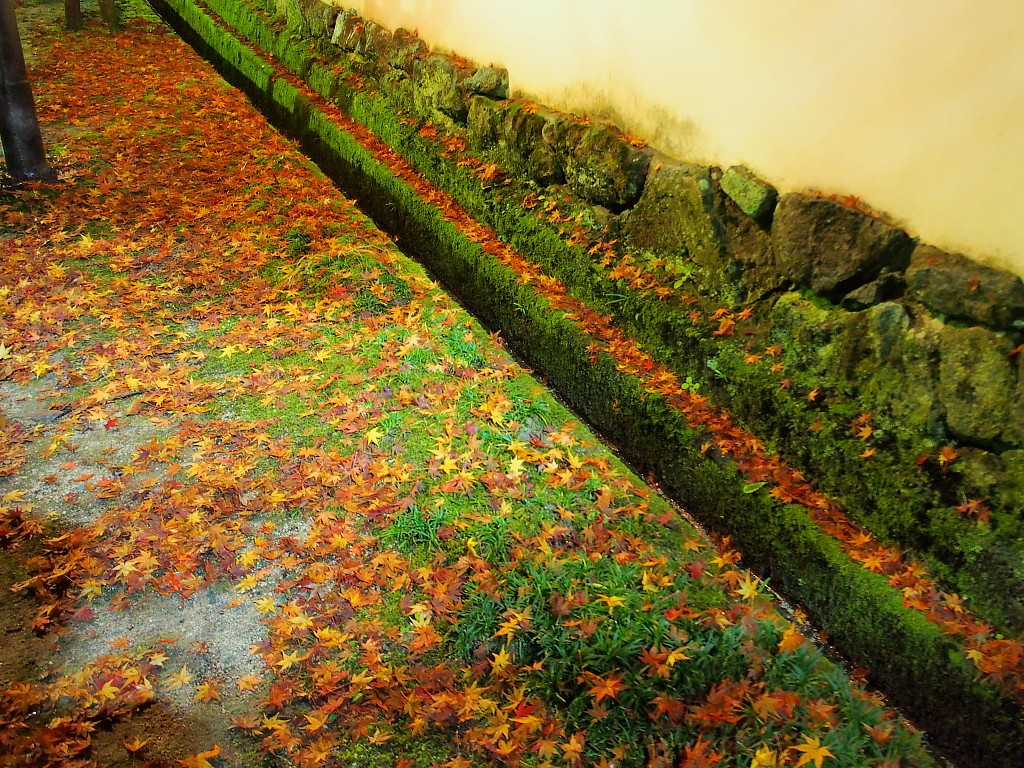 f:id:a_kuma_get:20161206162458j:image