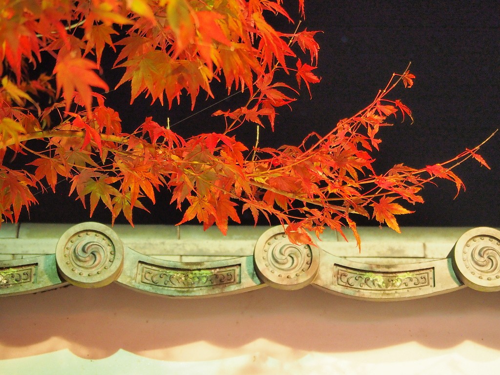 f:id:a_kuma_get:20161206162459j:image