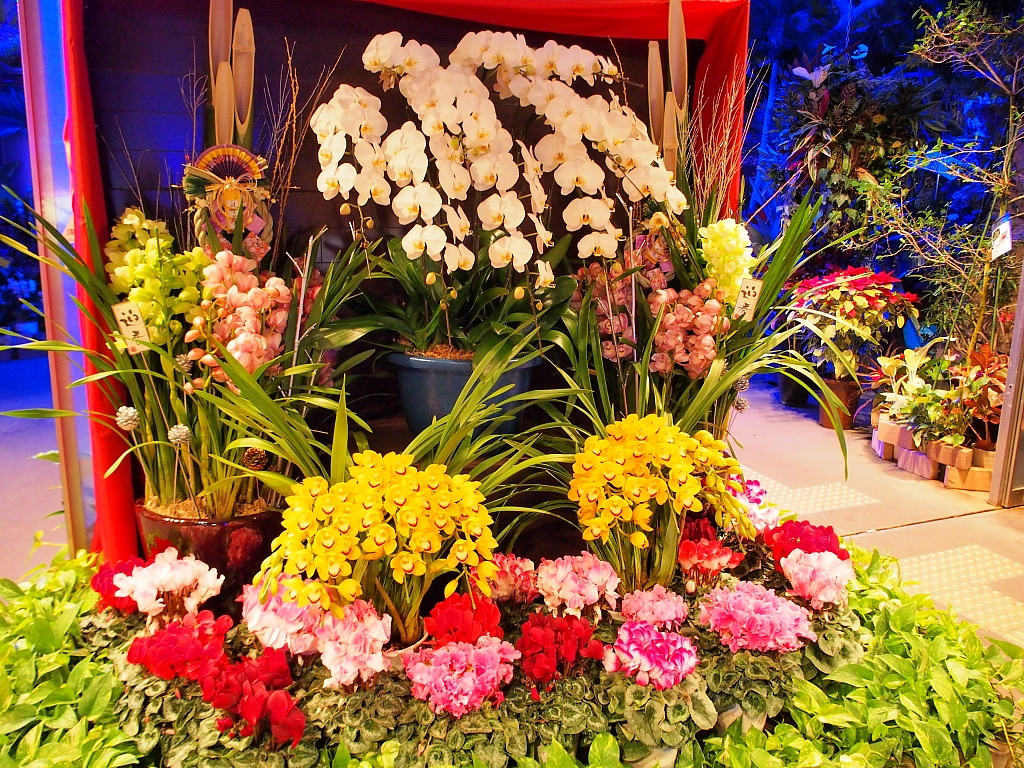 f:id:a_kuma_get:20171231005432j:image f:id:a_kuma_get:20171231005432j:image