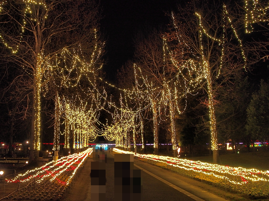 f:id:a_kuma_get:20171231005805j:image f:id:a_kuma_get:20171231005805j:image