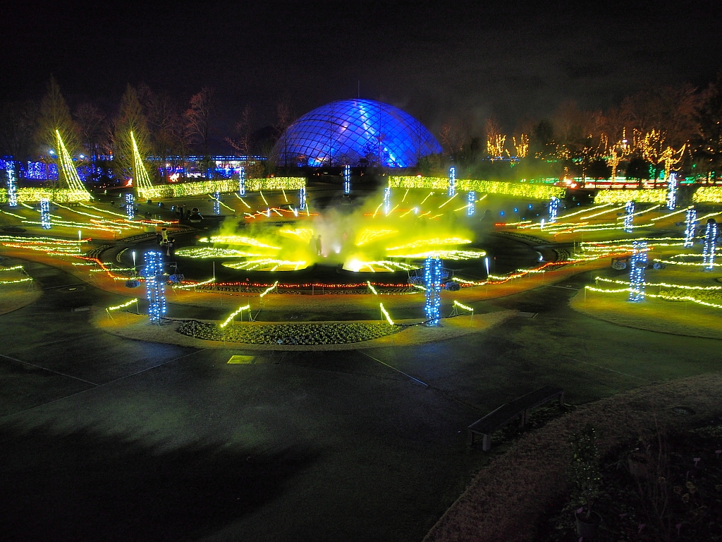 f:id:a_kuma_get:20171231005818j:image f:id:a_kuma_get:20171231005818j:image