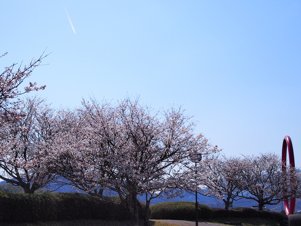 f:id:a_kuma_get:20180405233808j:image