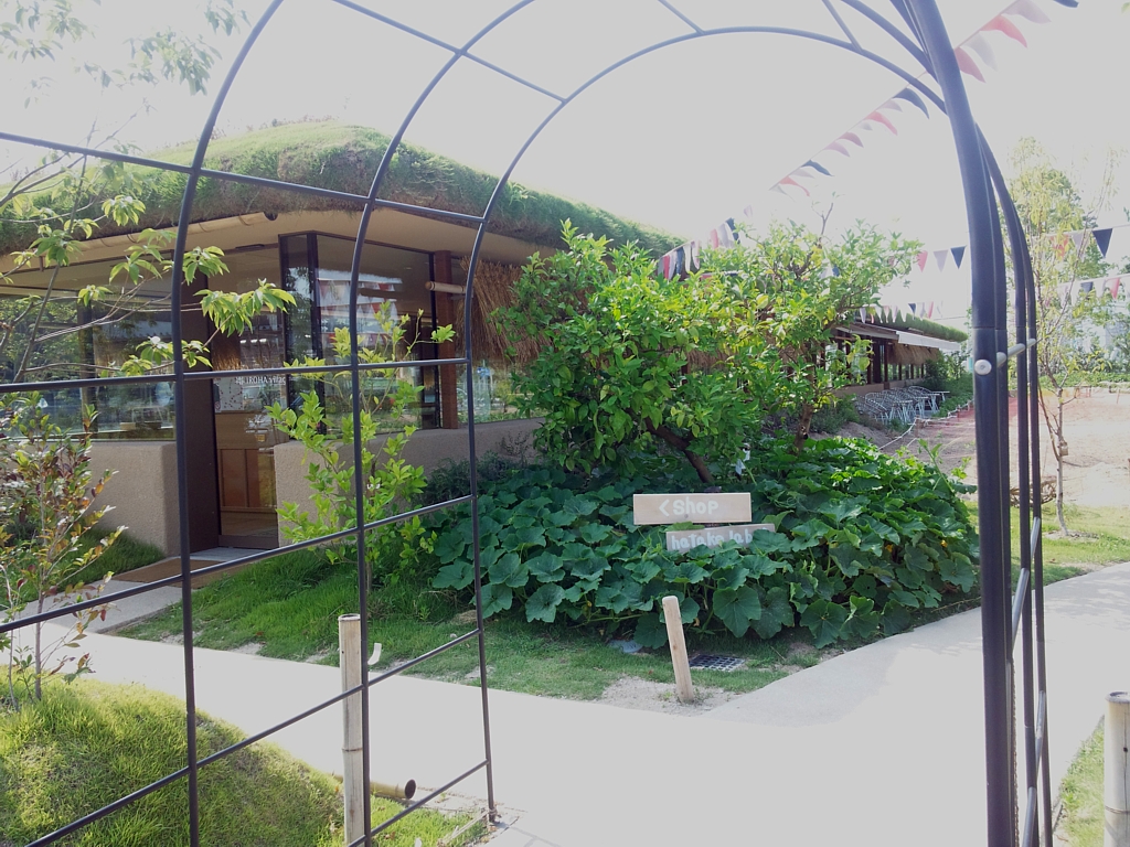 f:id:a_kuma_get:20180804220753j:image