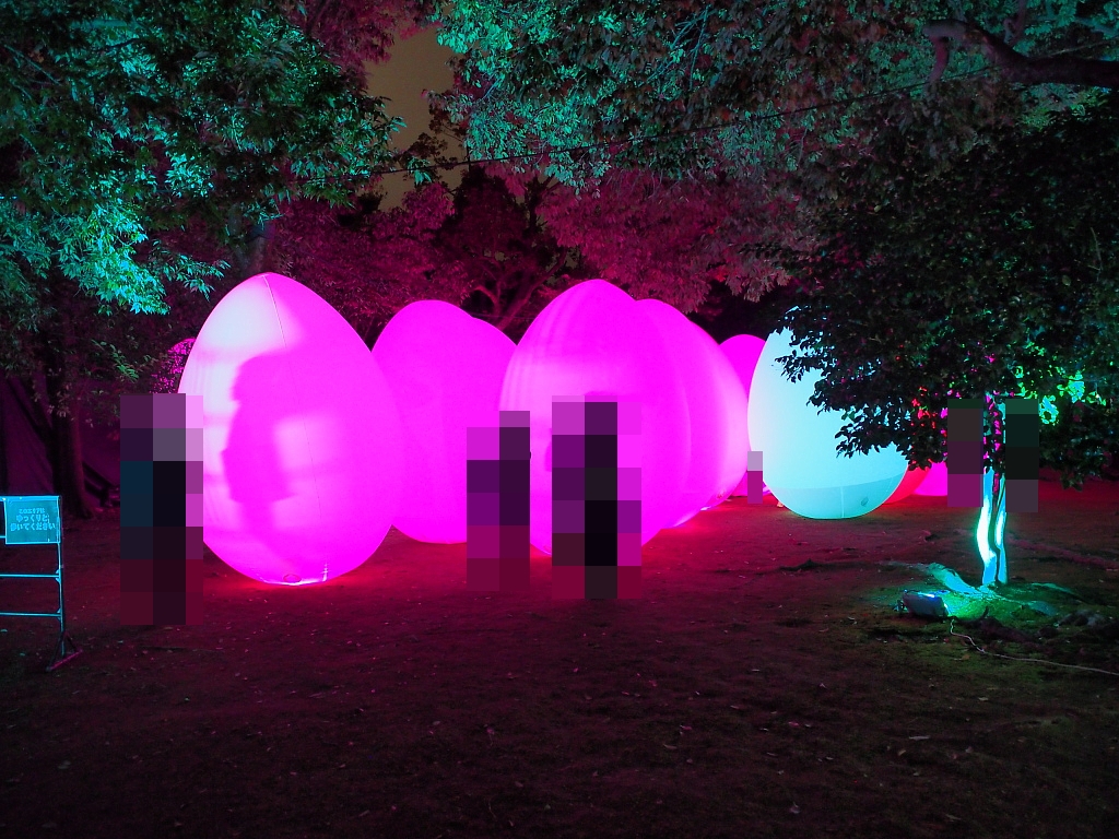 f:id:a_kuma_get:20190218105739j:plain f:id:a_kuma_get:20190218105739j:plain