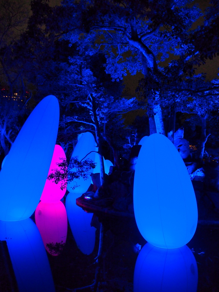 f:id:a_kuma_get:20190218105748j:plain f:id:a_kuma_get:20190218105748j:plain