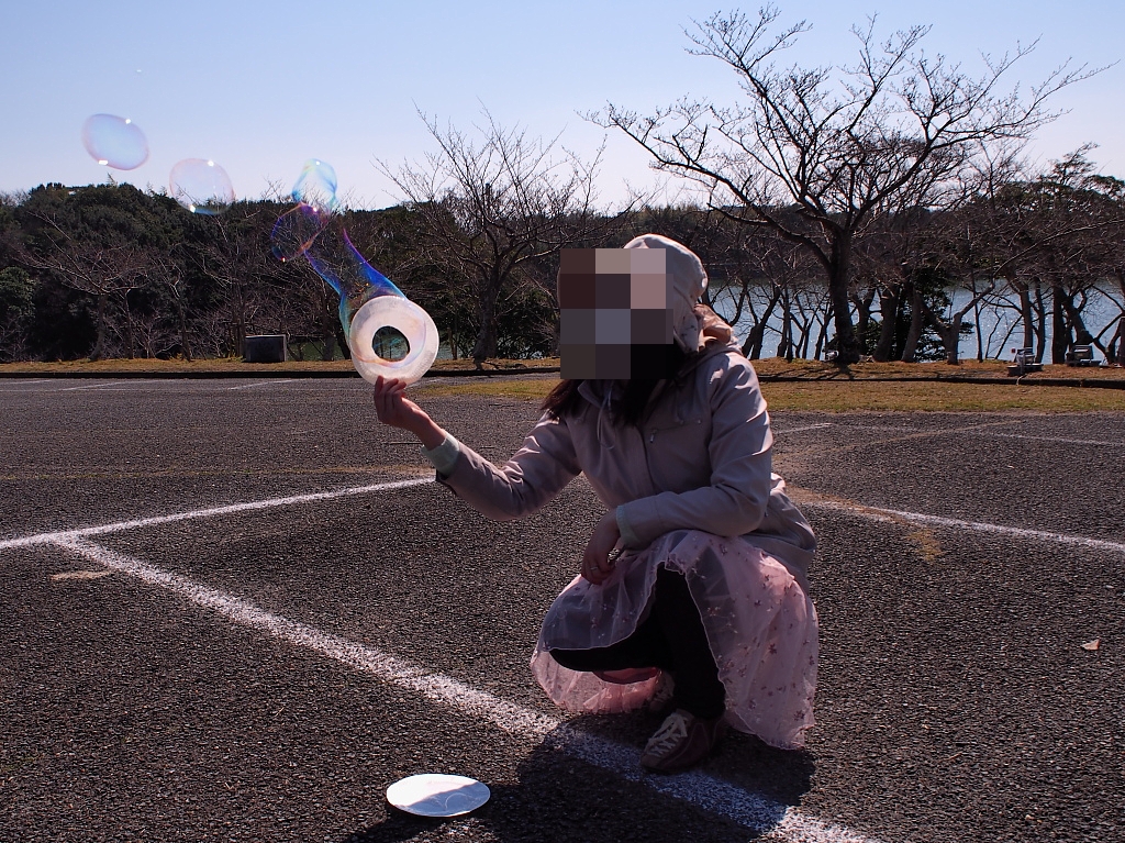 f:id:a_kuma_get:20190327183542j:plain