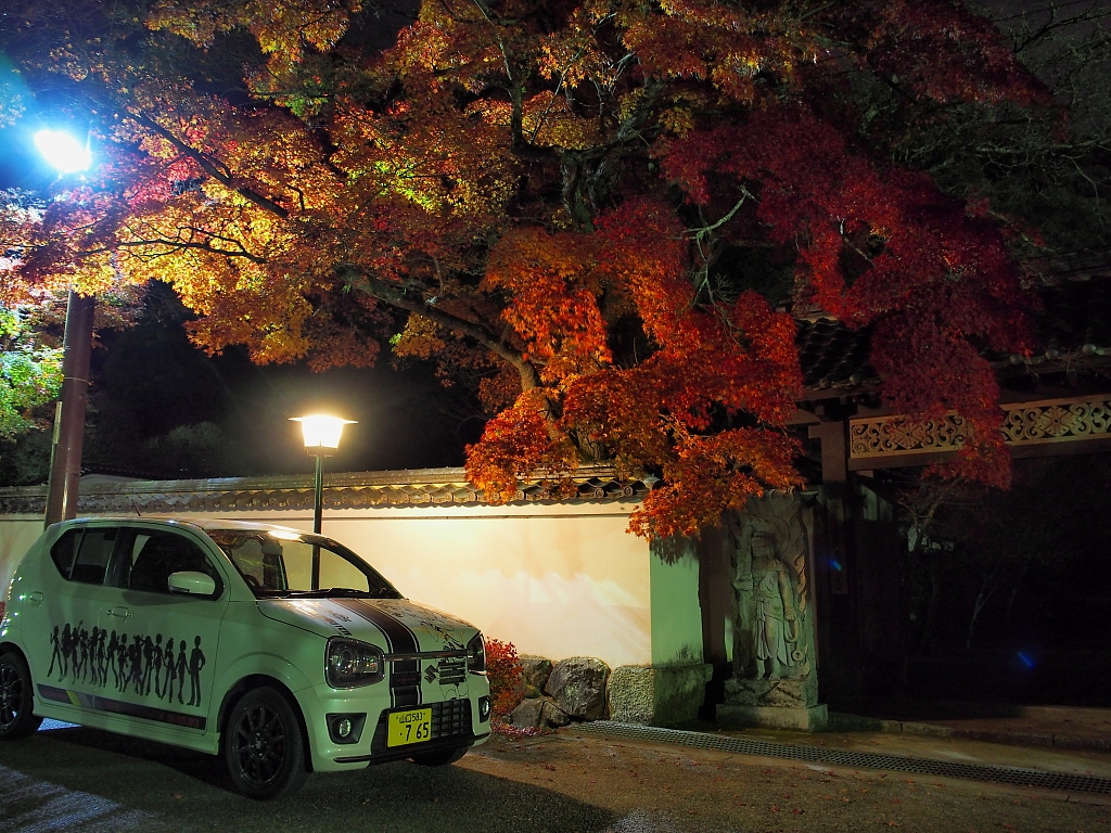 f:id:a_kuma_get:20200503140544j:plain