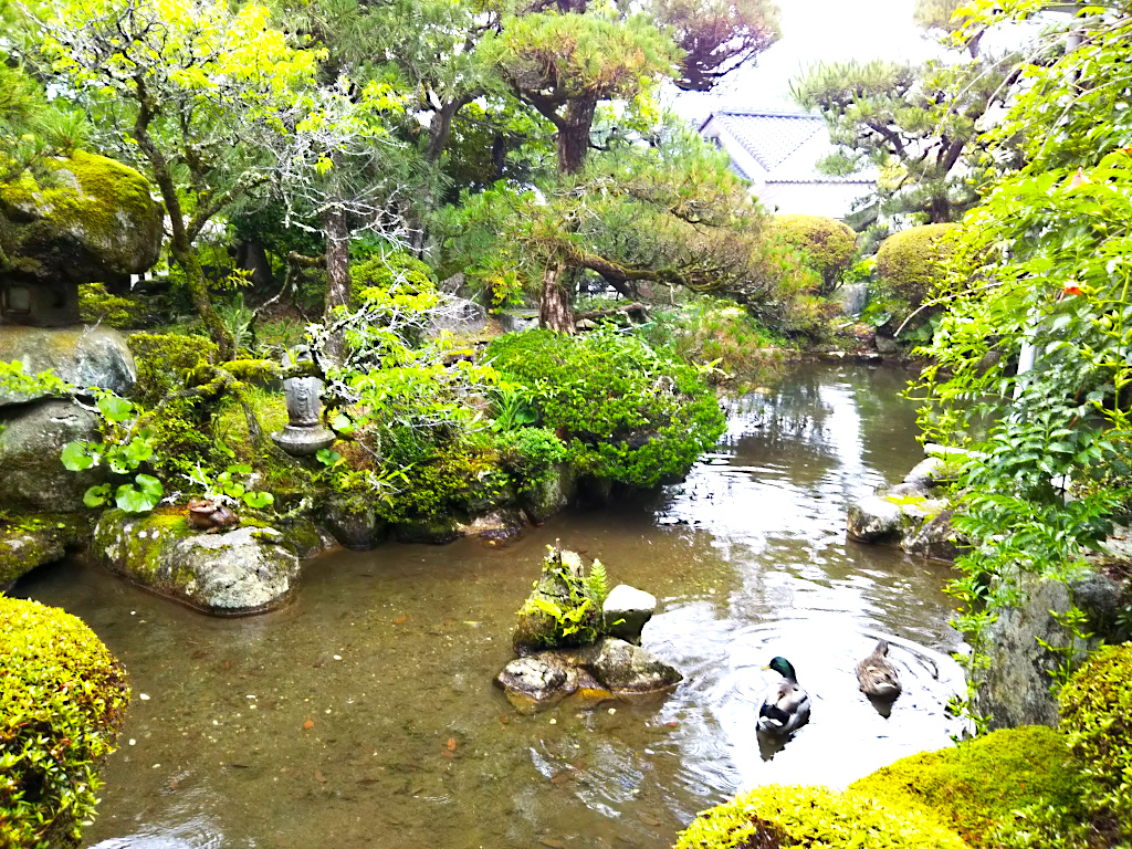 f:id:a_kuma_get:20201012110202j:plain