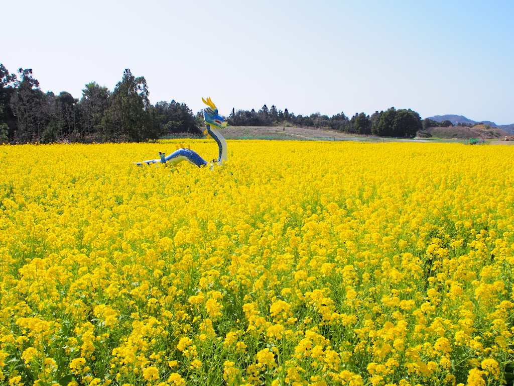 f:id:a_kuma_get:20211205235832j:plain