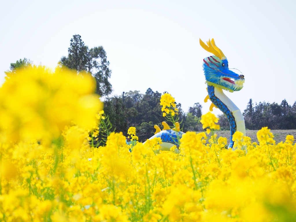 f:id:a_kuma_get:20211205235837j:plain