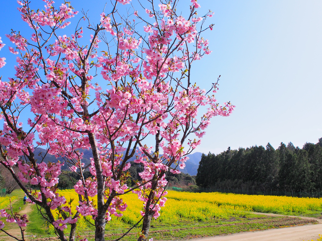 f:id:a_kuma_get:20211205235844j:plain