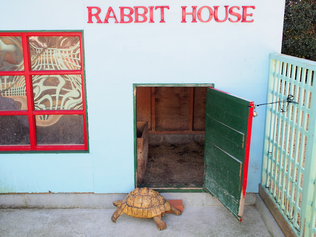 f:id:a_kuma_get:20211205235903j:plain