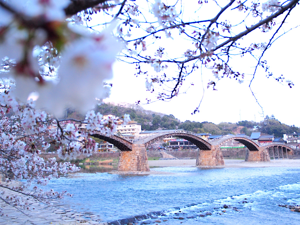 f:id:a_kuma_get:20211225164749j:plain