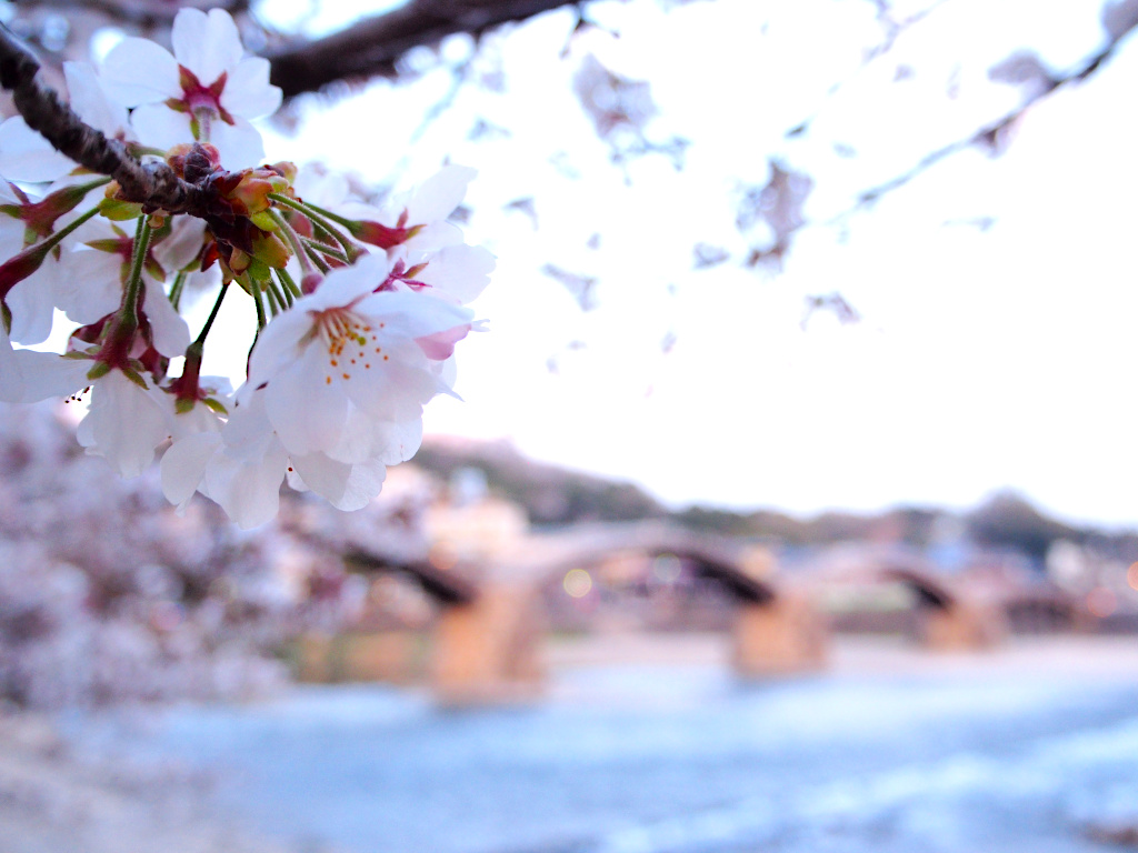 f:id:a_kuma_get:20211225164755j:plain