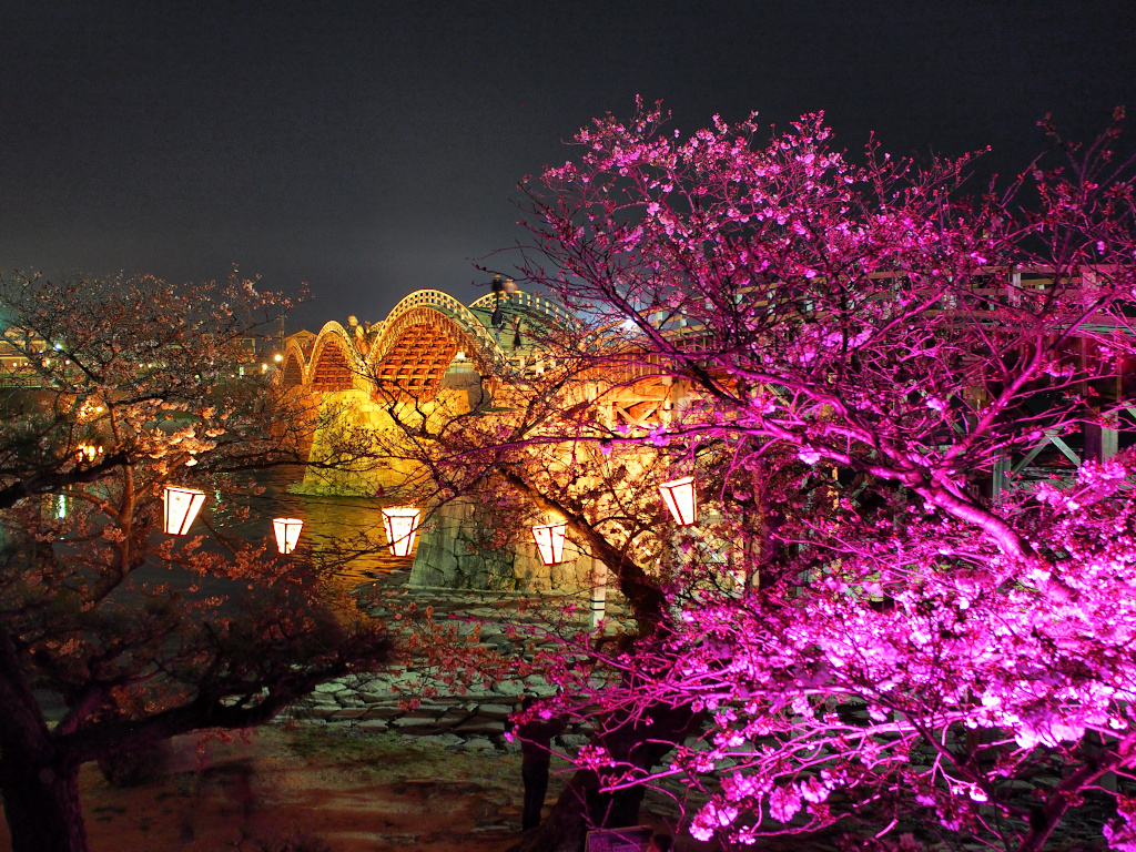 f:id:a_kuma_get:20211225164817j:plain