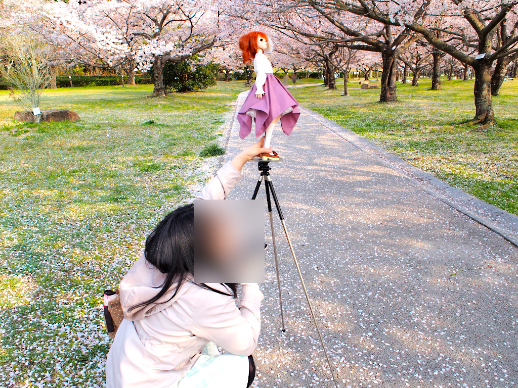 やよいと一緒にお花見 ２回目 悪魔が頂き の戯言日記