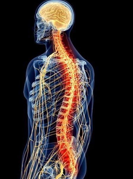 f:id:a_lethe_ia:20201125134443j:plain