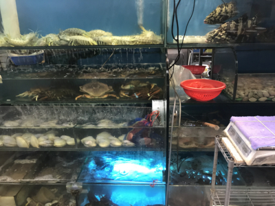 f:id:a_ming:20180604213556j:plain