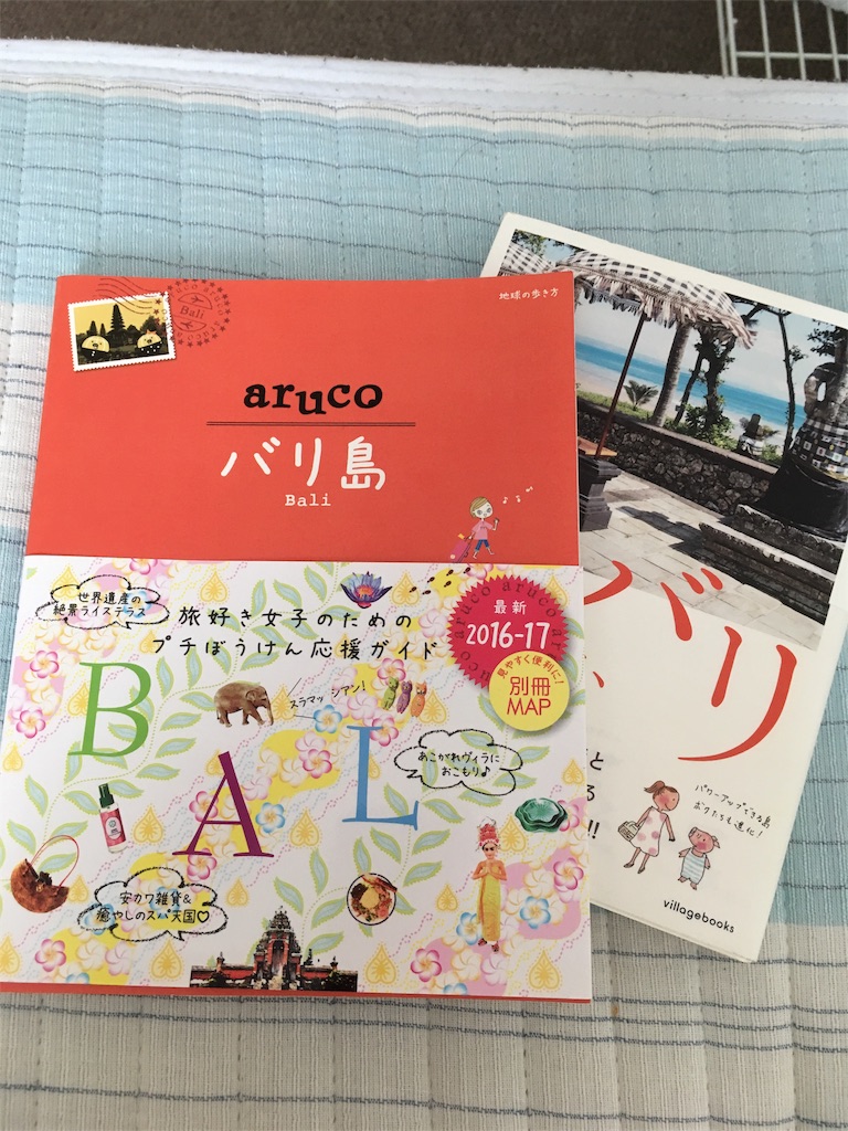 f:id:a_mochy_i:20170821084210j:image