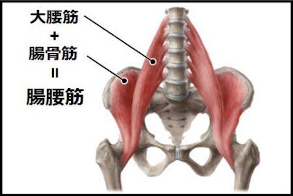f:id:a_mochy_i:20170830122056j:image