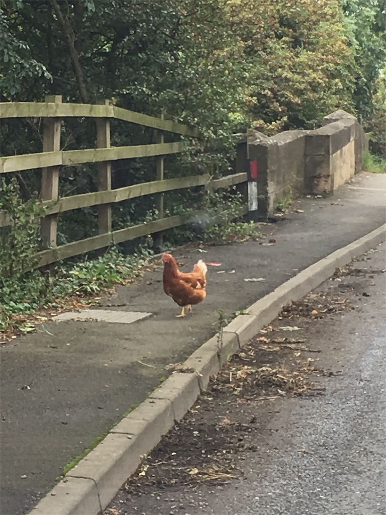 f:id:a_mochy_i:20170911025326j:image f:id:a_mochy_i:20170911025326j:image