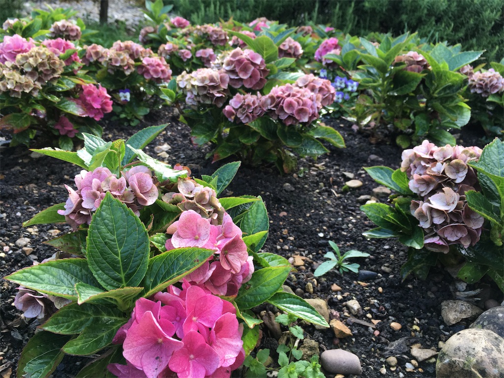 f:id:a_mochy_i:20170911025724j:image f:id:a_mochy_i:20170911025724j:image