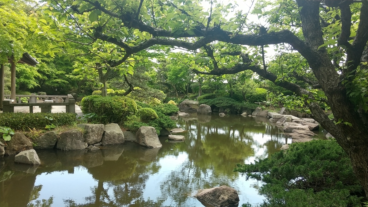 城山公園・不動池