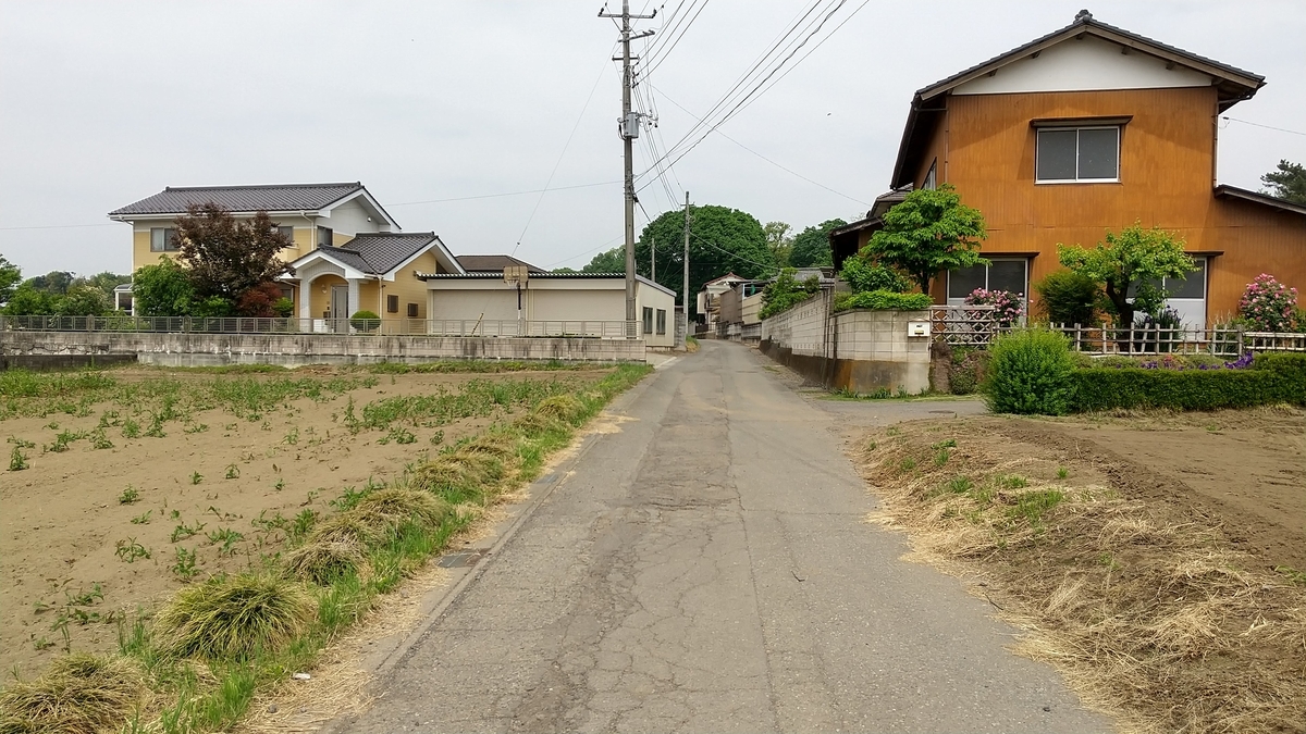 バス停から大室公園へ向かう道