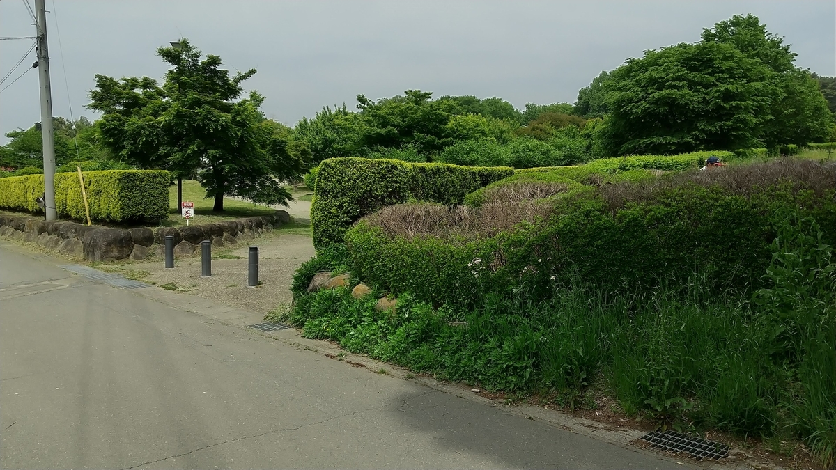 公園入