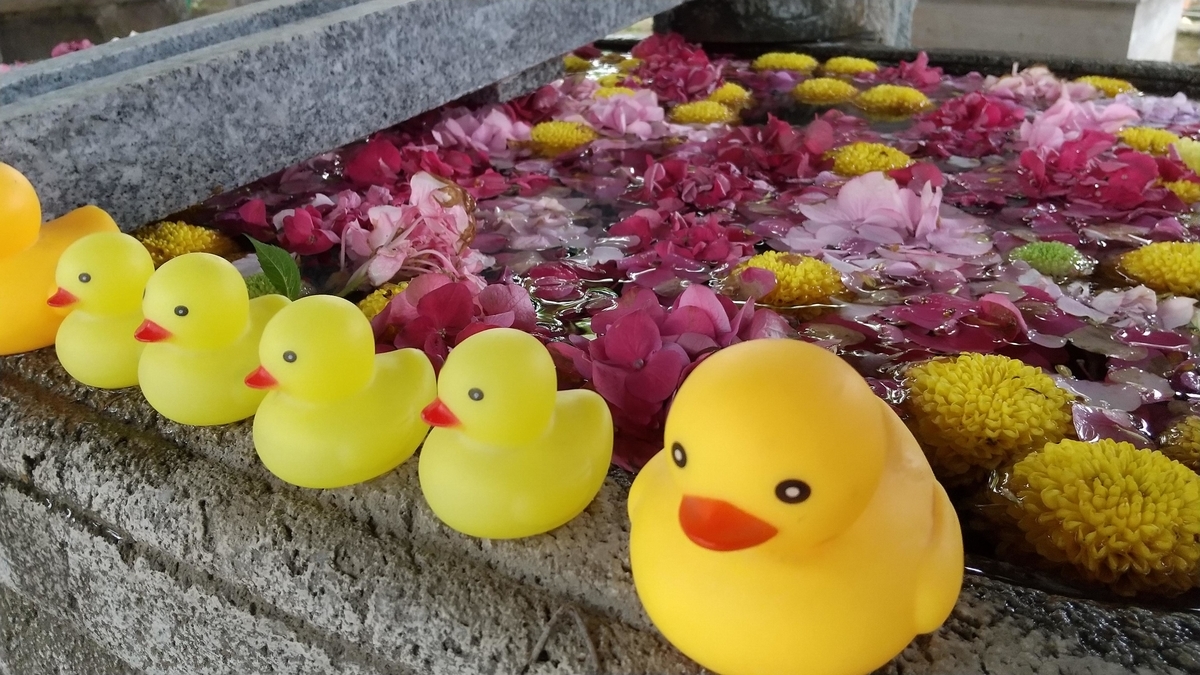 花手水とあひる