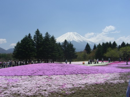 f:id:a_sue:20090429111858j:image:w200 f:id:a_sue:20090429111858j:image:w200