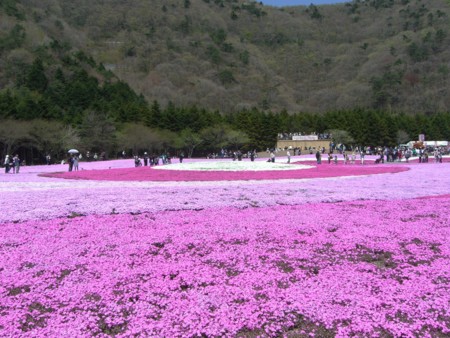 f:id:a_sue:20090429112052j:image:w200 f:id:a_sue:20090429112052j:image:w200
