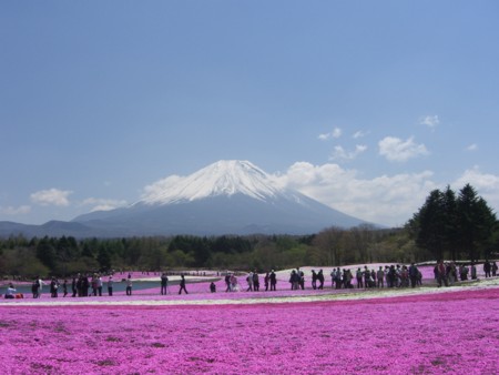 f:id:a_sue:20090429112249j:image:w200 f:id:a_sue:20090429112249j:image:w200