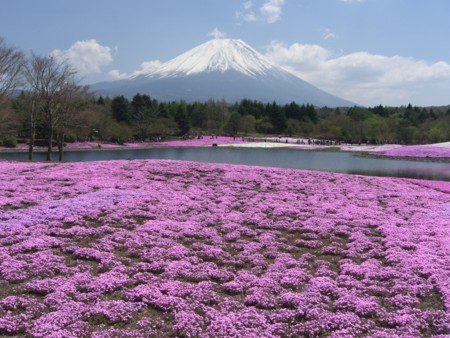 f:id:a_sue:20090429115100j:image:w200 f:id:a_sue:20090429115100j:image:w200