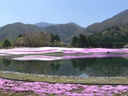 f:id:a_sue:20090429120026j:image:w200 f:id:a_sue:20090429120026j:image:w200
