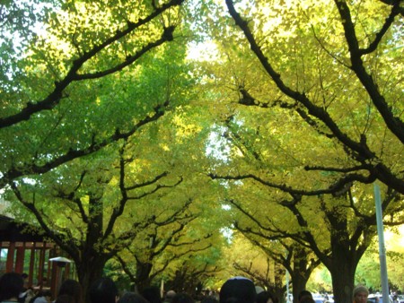 f:id:a_sue:20091121153352j:image:w200 f:id:a_sue:20091121153352j:image:w200