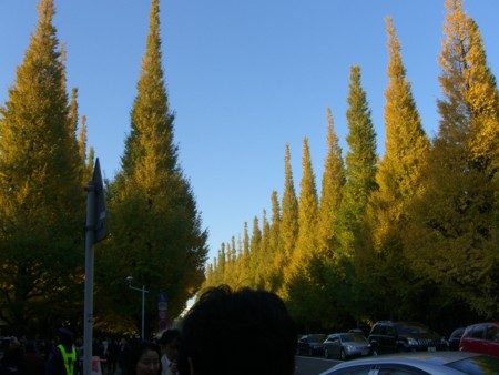 f:id:a_sue:20091121153525j:image:w200 f:id:a_sue:20091121153525j:image:w200