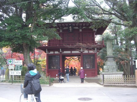 f:id:a_sue:20091205111844j:image:w200