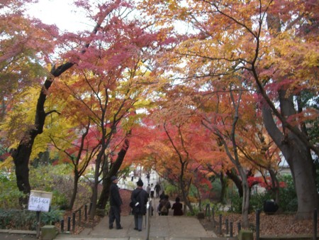 f:id:a_sue:20091205111906j:image