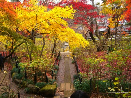 f:id:a_sue:20091205114425j:image:w200