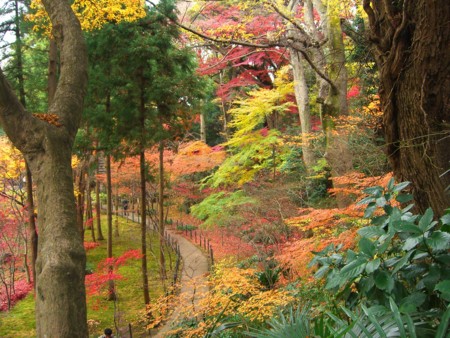 f:id:a_sue:20091205114529j:image:w200