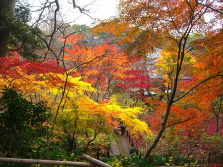 f:id:a_sue:20091205114642j:image:w200