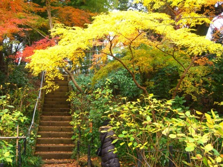 f:id:a_sue:20091205114827j:image:w200
