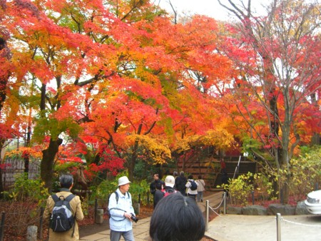 f:id:a_sue:20091205115151j:image:w200