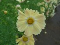 f:id:a_sue:20111022142148j:image:medium