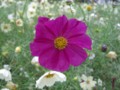 f:id:a_sue:20111022142237j:image:medium