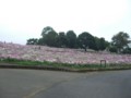 f:id:a_sue:20111022143854j:image:medium